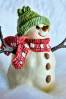 Snowman.jpg