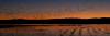 Bosque_del_Apache_IV_-_006.jpg